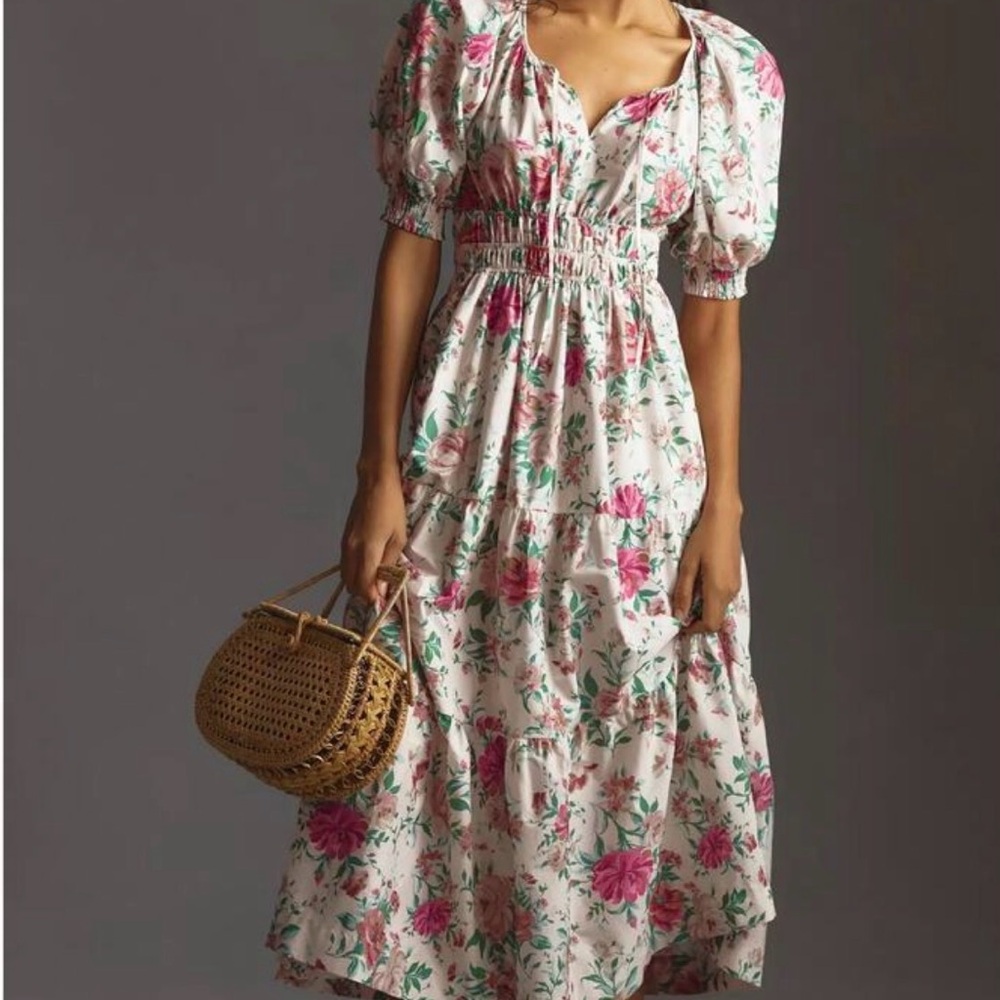 Anthropologie Pink and Green Floral Maxi Dress